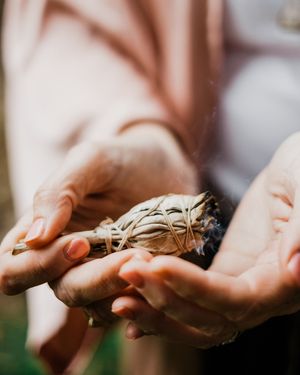 A sequence of hands holding and releasing a delicate dandelion seed head in soft natural lighting.