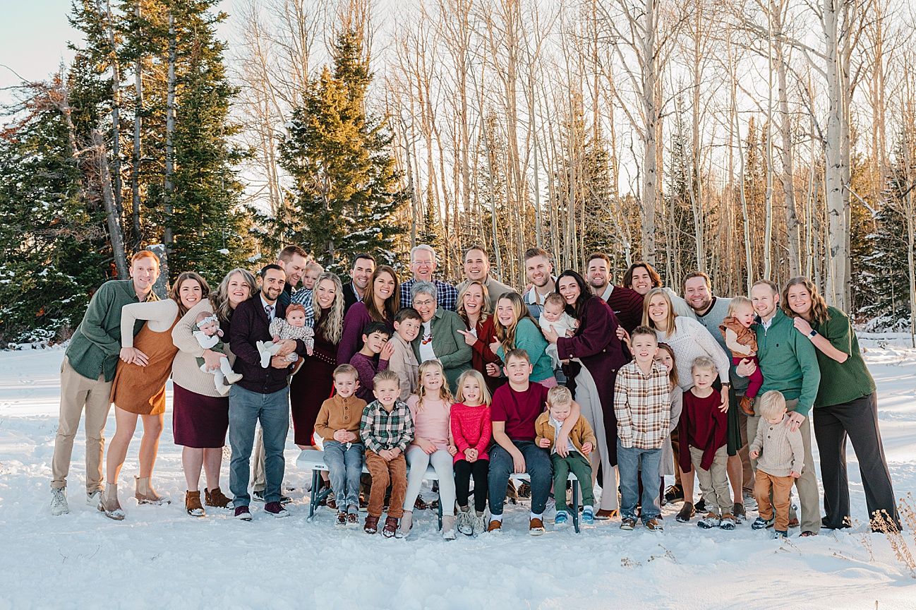 Large group of people and dogs gathered outdoors in a snowy winter setting with birch trees in the background.