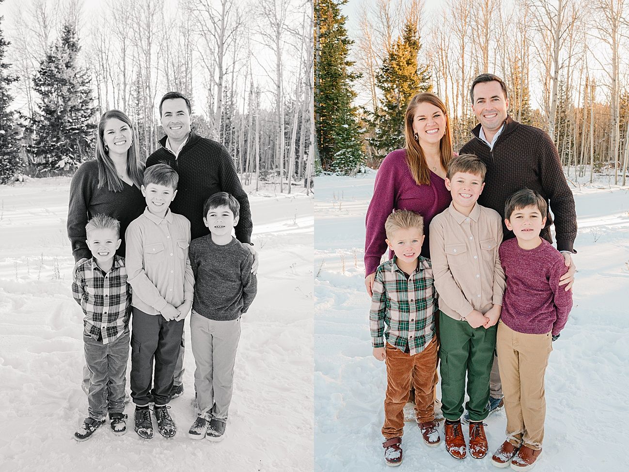 Family portraits in a snowy winter landscape with birch trees and evergreens in the background.