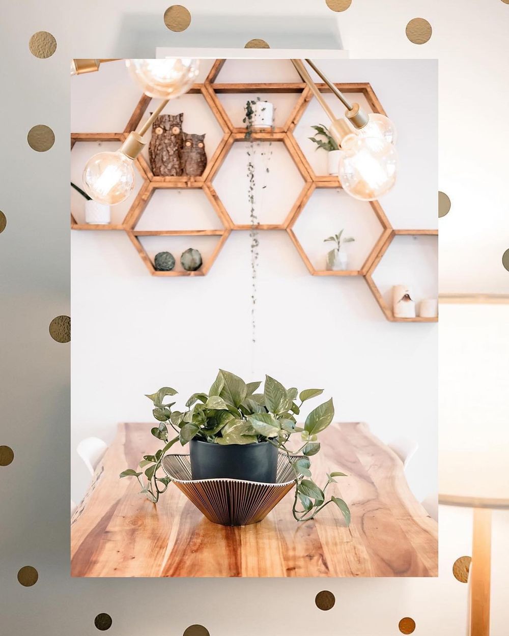 Hexagonal wooden wall shelves with decorative items displayed against a white wall with gold polka dot decals.