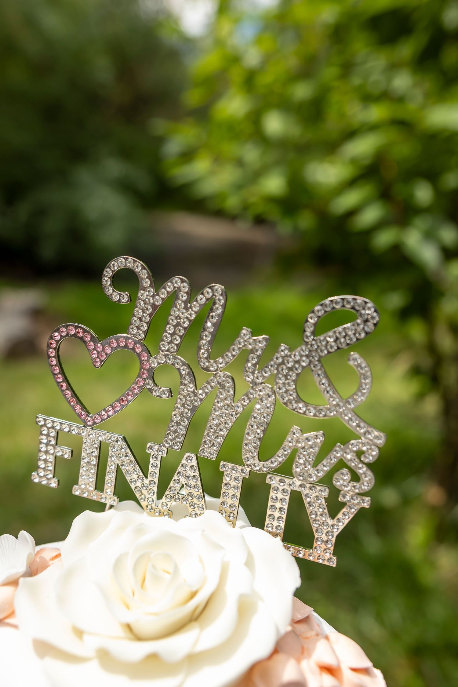 Mr. & Mrs. Finally cake topper for Boise Elopement