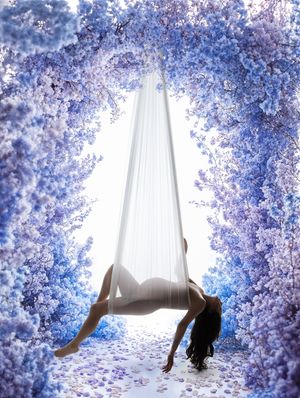 Dramatic boudoir portraits framed by cascading blue wisteria flowers in a dreamy light setting.