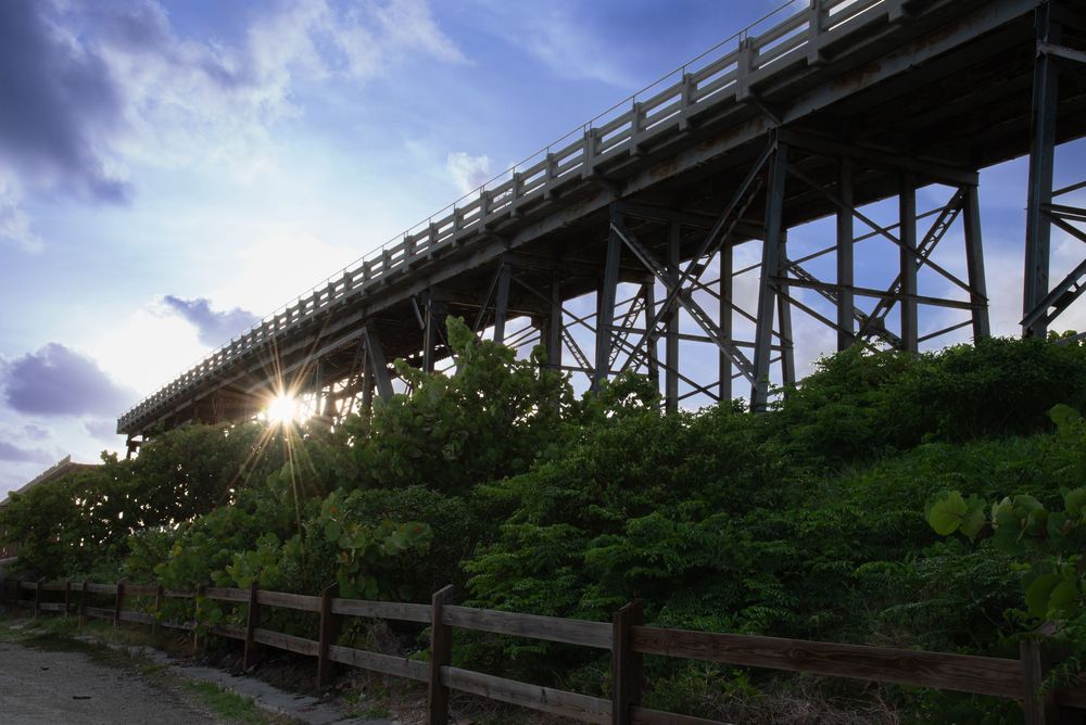 An elevated metal-and-wood walkway stretches above lush green vegetation as the sun bursts through the trees, casting warm rays.
