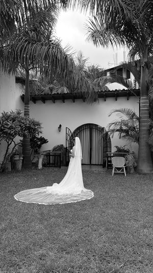 Black and white photo of a bride in a long veil standing on a lawn before a Spanish-style villa with palm trees.