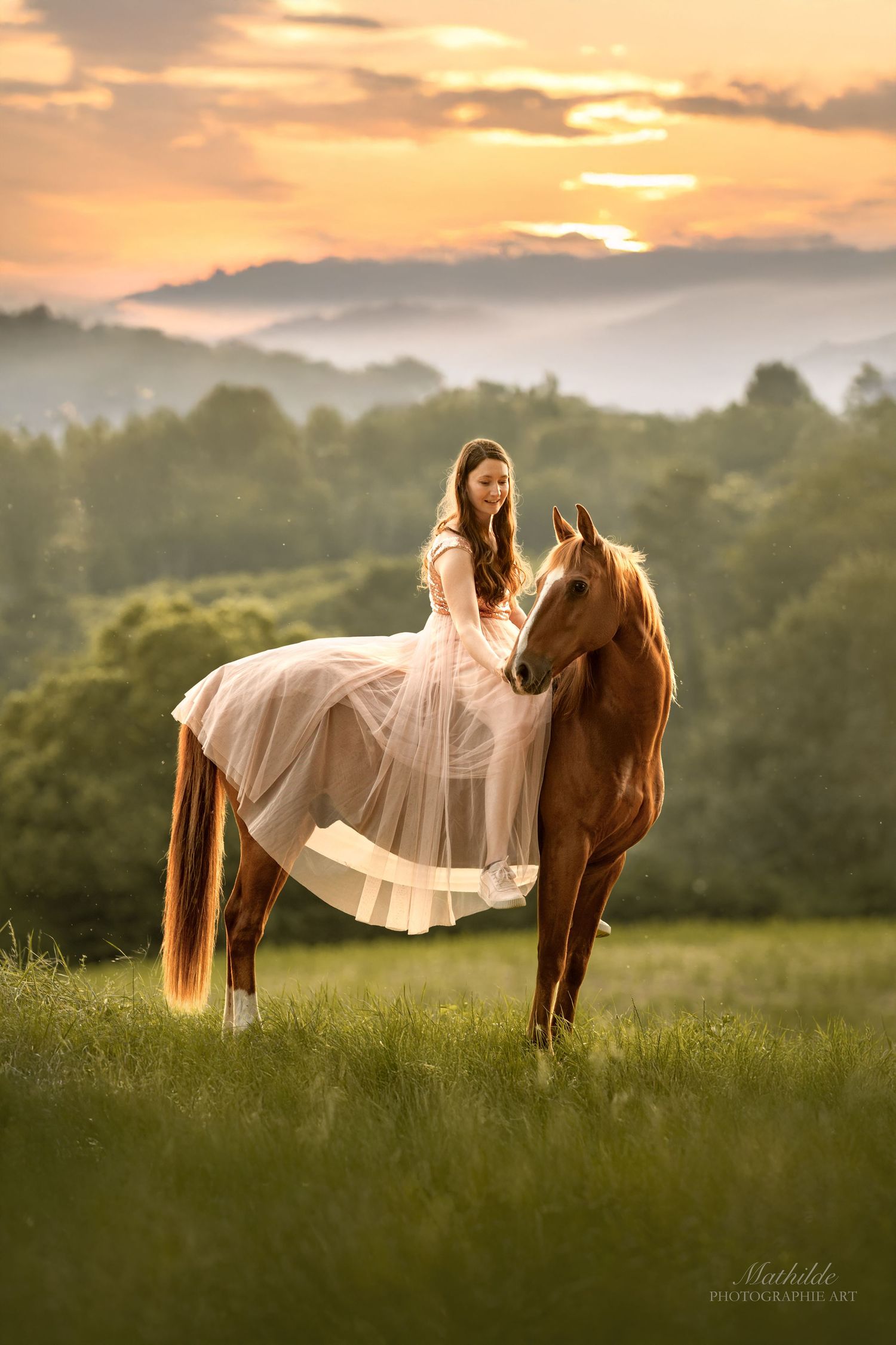 photographe cheval
séance photo chevaux
photographie animaux de compagnie
photo cheval extérieur
photographe Drôme Valence Isère
