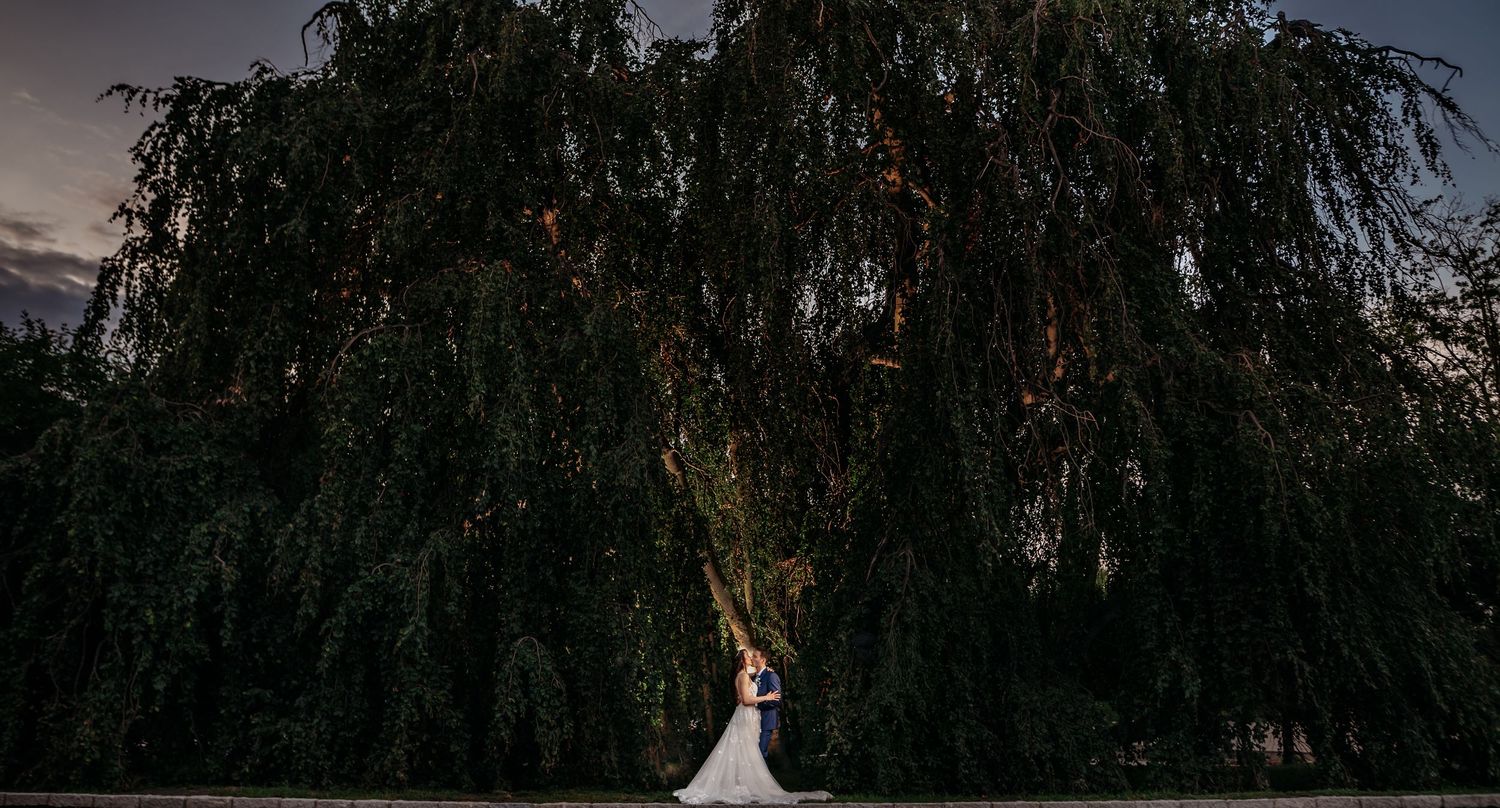 A silhouetted figure stands beneath a majestic weeping willow tree at dusk.