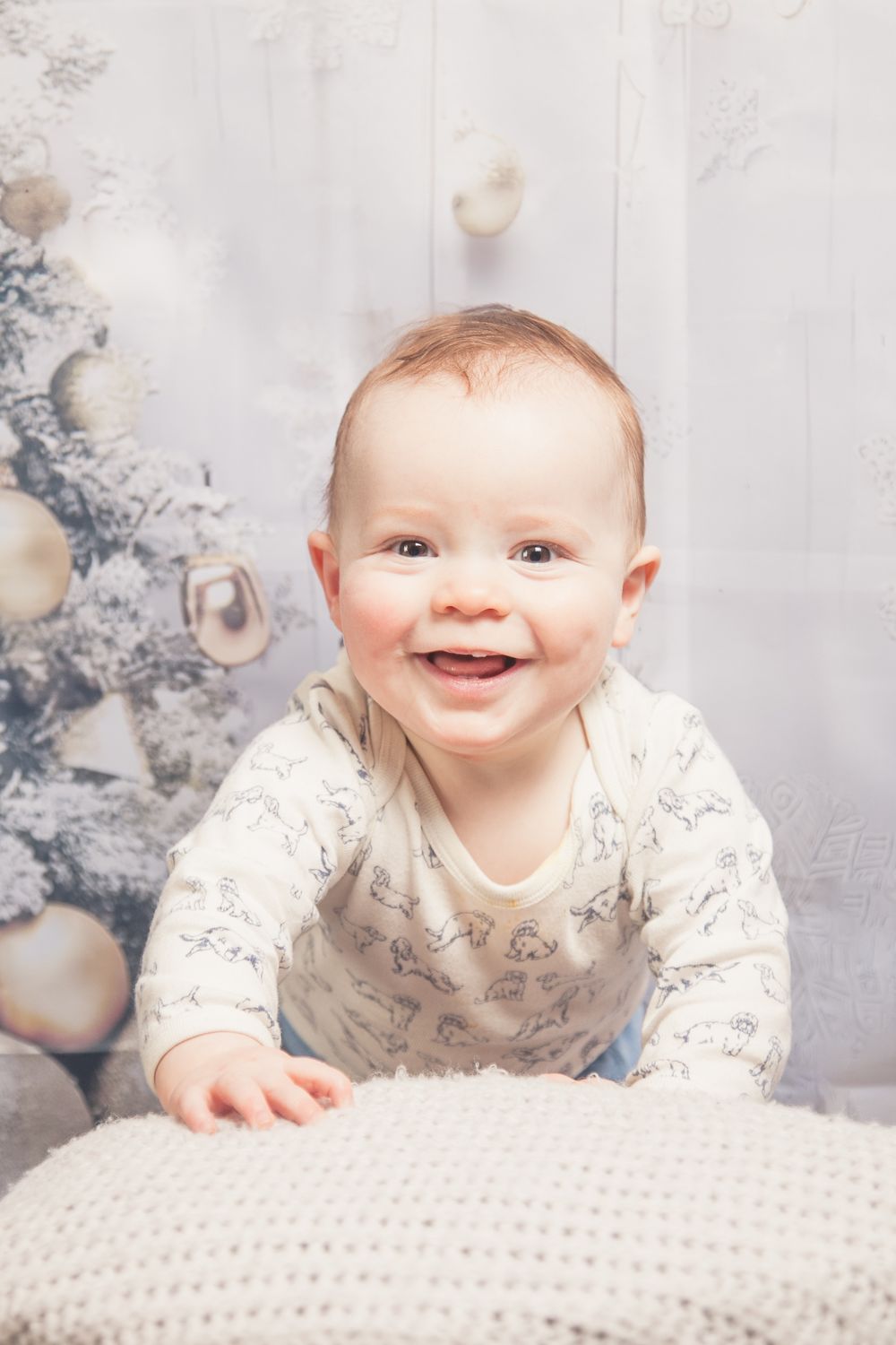 Family Christmas portrait photoshoot of baby photo taken by Andy Snaps.