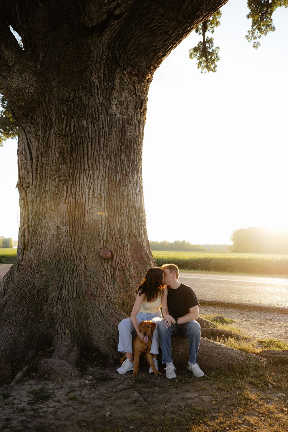 Family sitting together against large tree trunk at sunset.