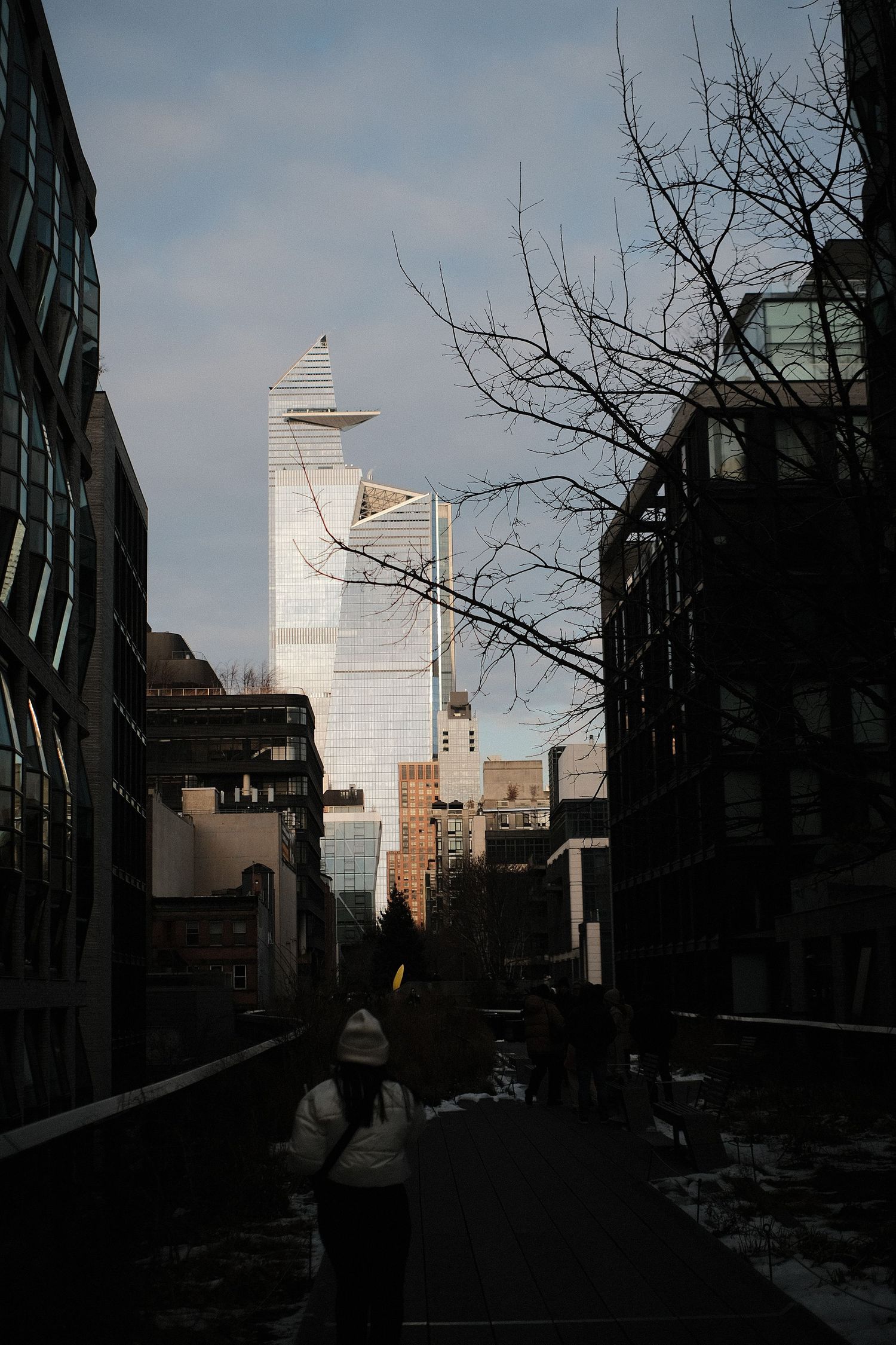 Urban skyline view with tall buildings and bare trees silhouetted against blue sky.