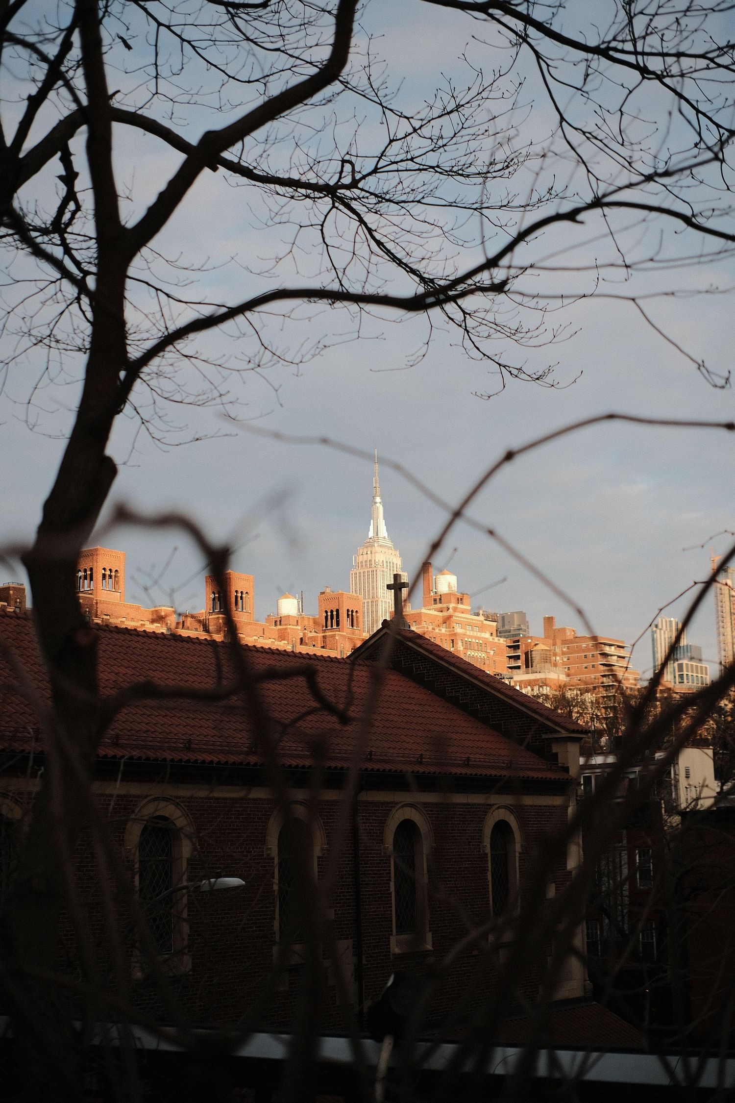 City skyline with church spires visible through bare winter tree branches.