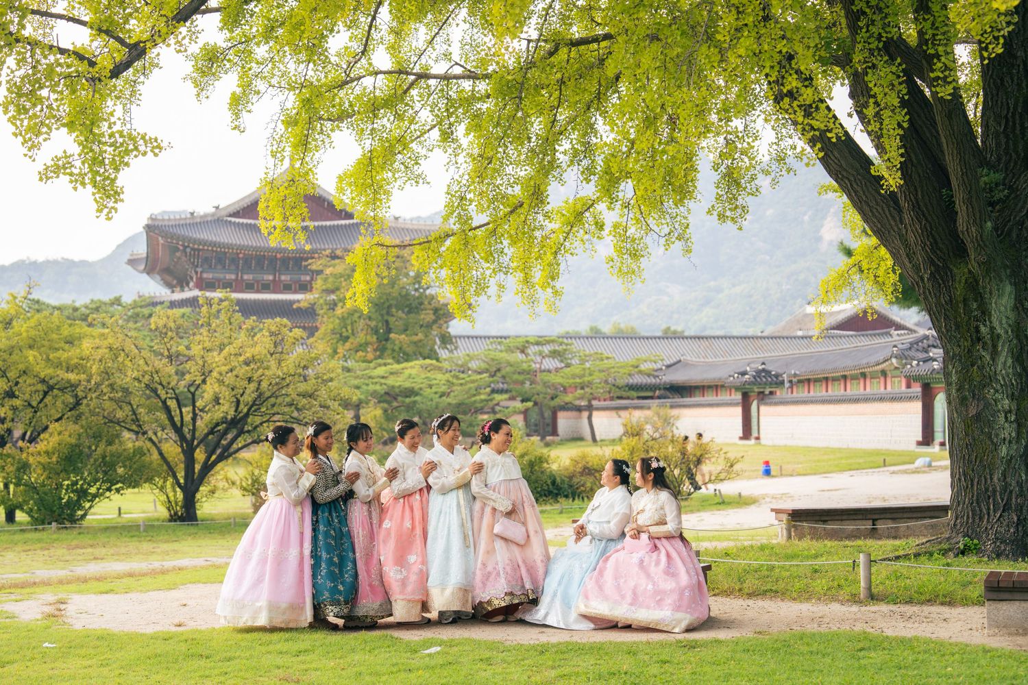 People in traditional Korean hanbok dresses gather under a ginkgo tree at a historic palace courtyard on a sunny day.
