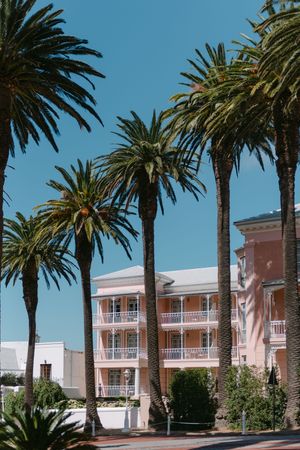 Palm trees line the exterior of a pink and white coastal resort building with balconies under bright blue sky.