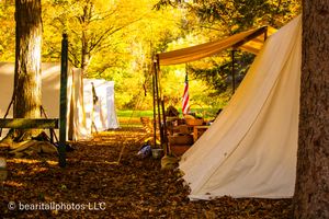 White canvas tents set up in autumn forest with golden yellow leaves and trees.