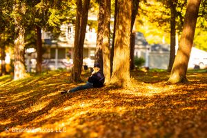 Golden autumn sunlight filters through trees creating long shadows on fallen leaves.