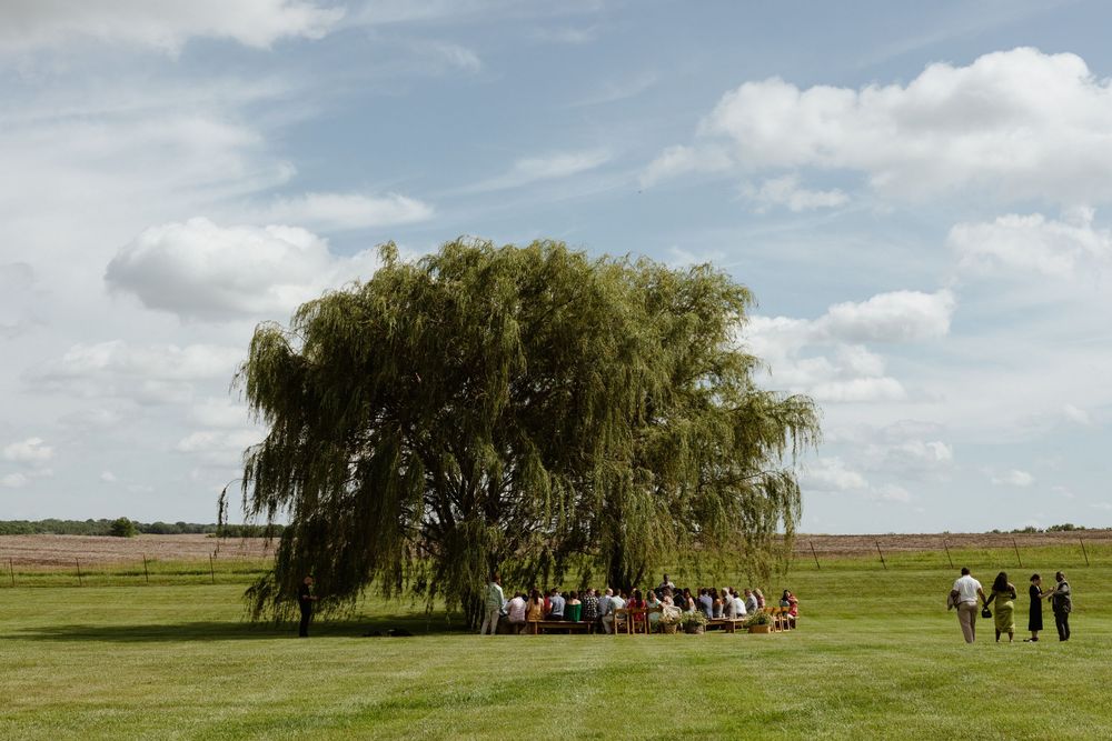 Family walking together across a scenic grassy field with willow trees in the background on a sunny day.