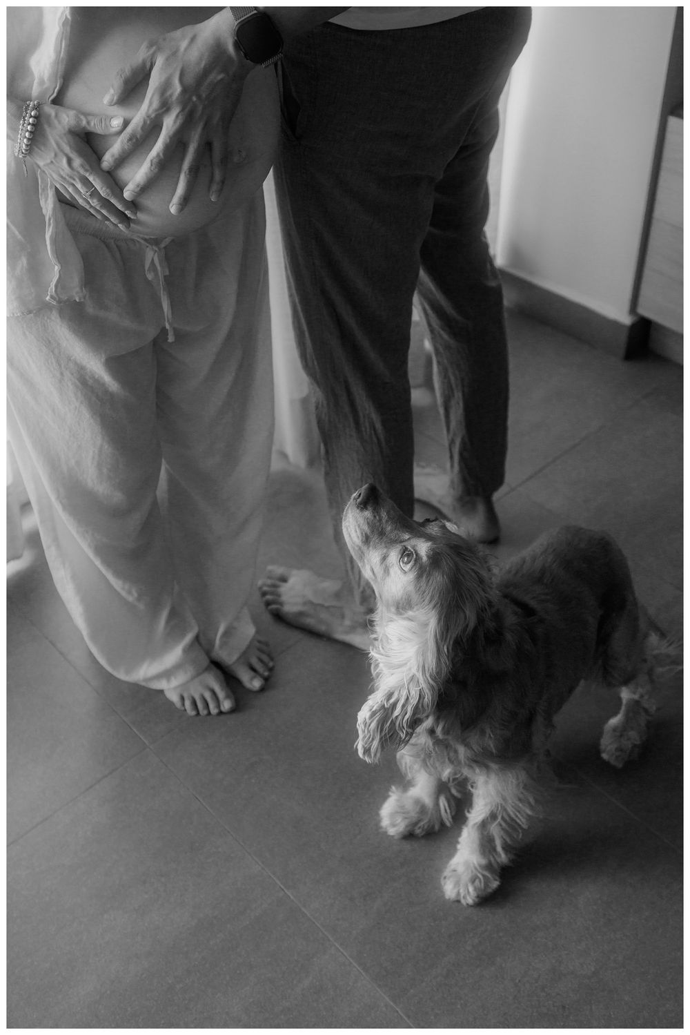 Black and white photo of a small fluffy dog looking up at two people standing on a tiled floor.