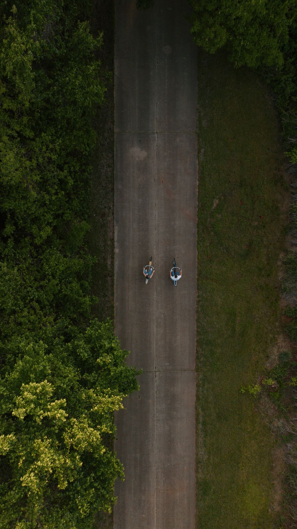 Aerial drone view of two cyclists riding on a narrow road surrounded by lush green trees and grass.