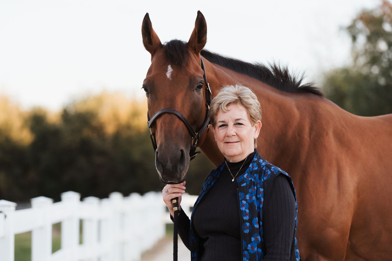 A beautiful bay horse stands next to someone by a white fence during golden hour sunset.