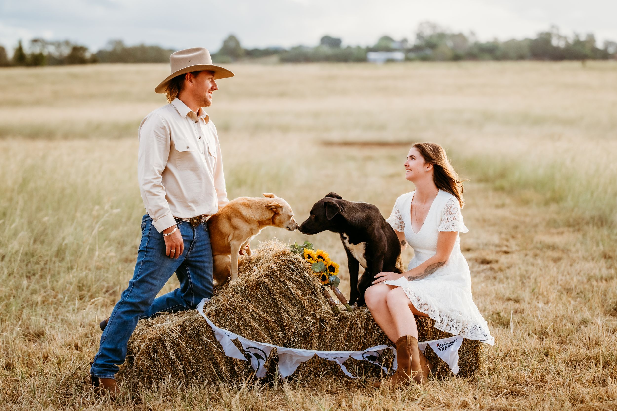Couple in a field with two dogs on a hay bale, man in cowboy hat and woman in white dress.