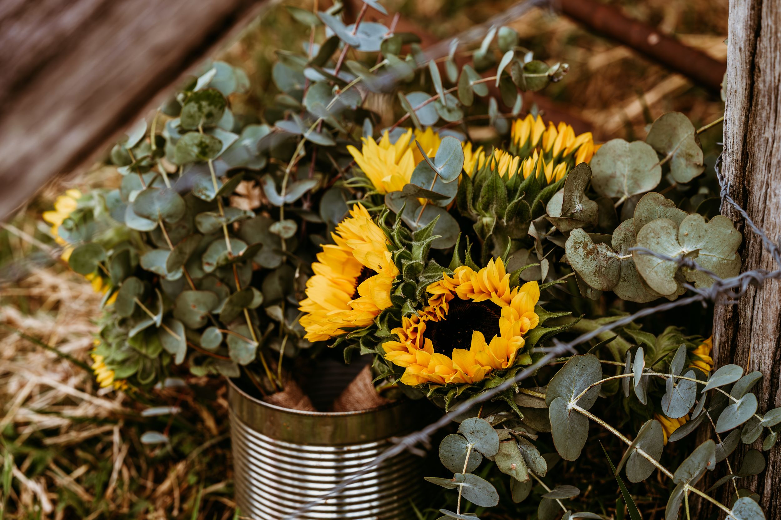 Sunflowers and eucalyptus arranged in a rustic tin can outdoors.