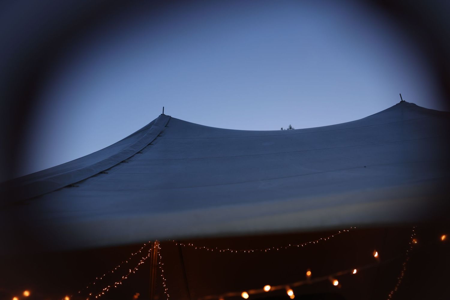 Exterior view of a large white event tent against a twilight blue sky with string lights.