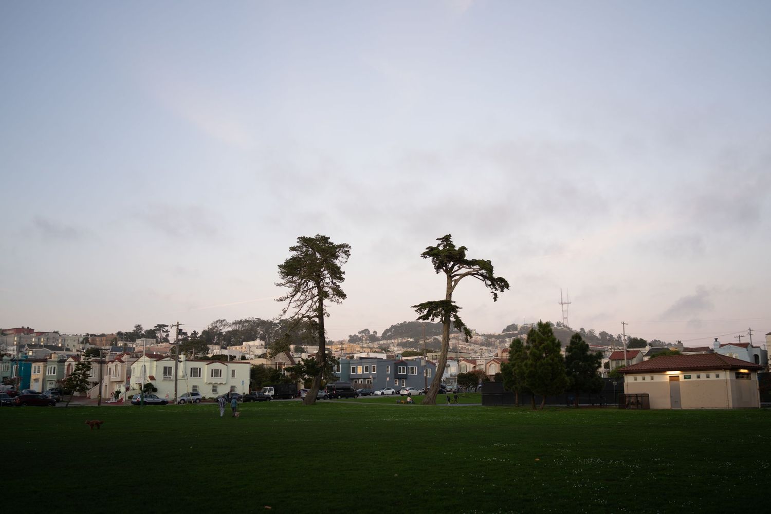 Misty San Francisco park at dusk with tall trees, green lawn, and residential buildings under overcast skies.