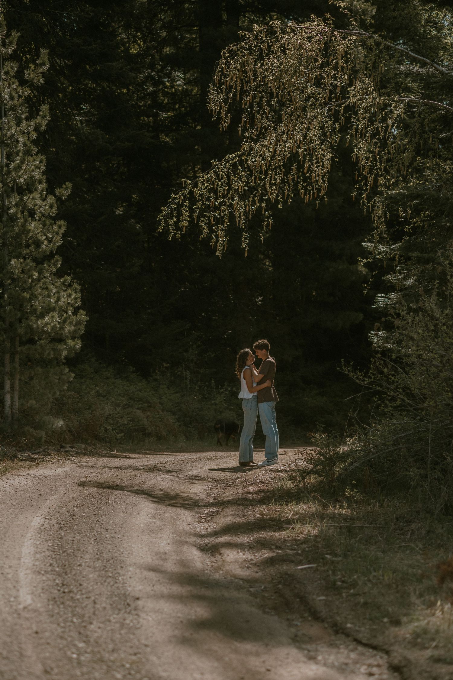 Couple embracing on a rustic dirt path surrounded by lush green forest trees in soft natural light.