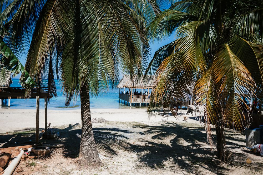 Tropical beach scene framed by palm trees with thatched huts visible over calm turquoise water.