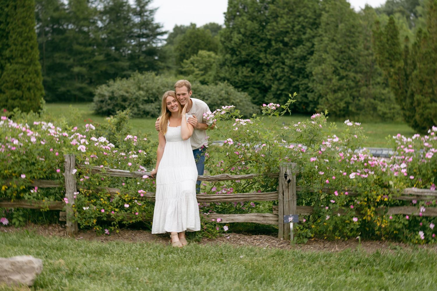 Couple embracing in a lush garden with pink roses and wooden fence, woman in white dress smiling outdoors.