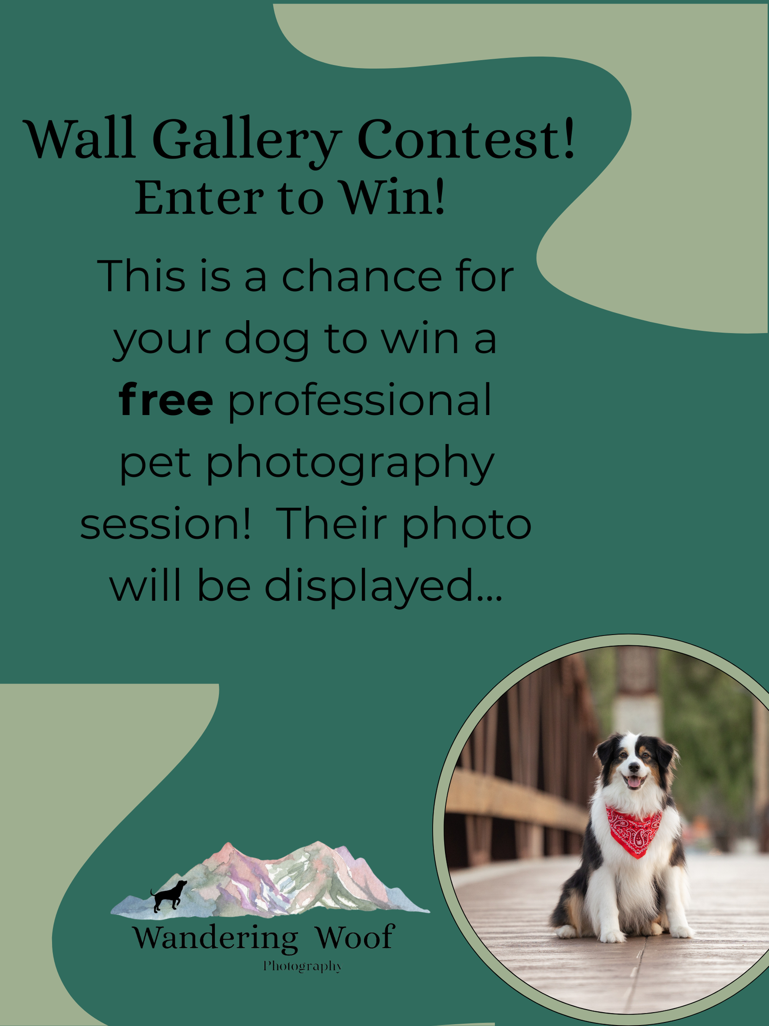 A series of green promotional banners for a pet store wall gallery contest featuring dog photos and orange buttons.