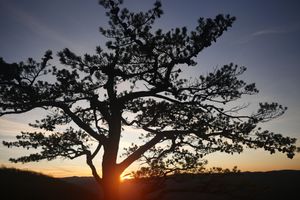 Sunset over Blue Ridge Parkway
