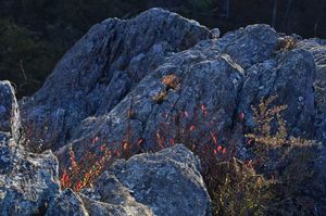 Rocks and foliage at Ravens Roost overlook Blue Ridge Parkway Virginia