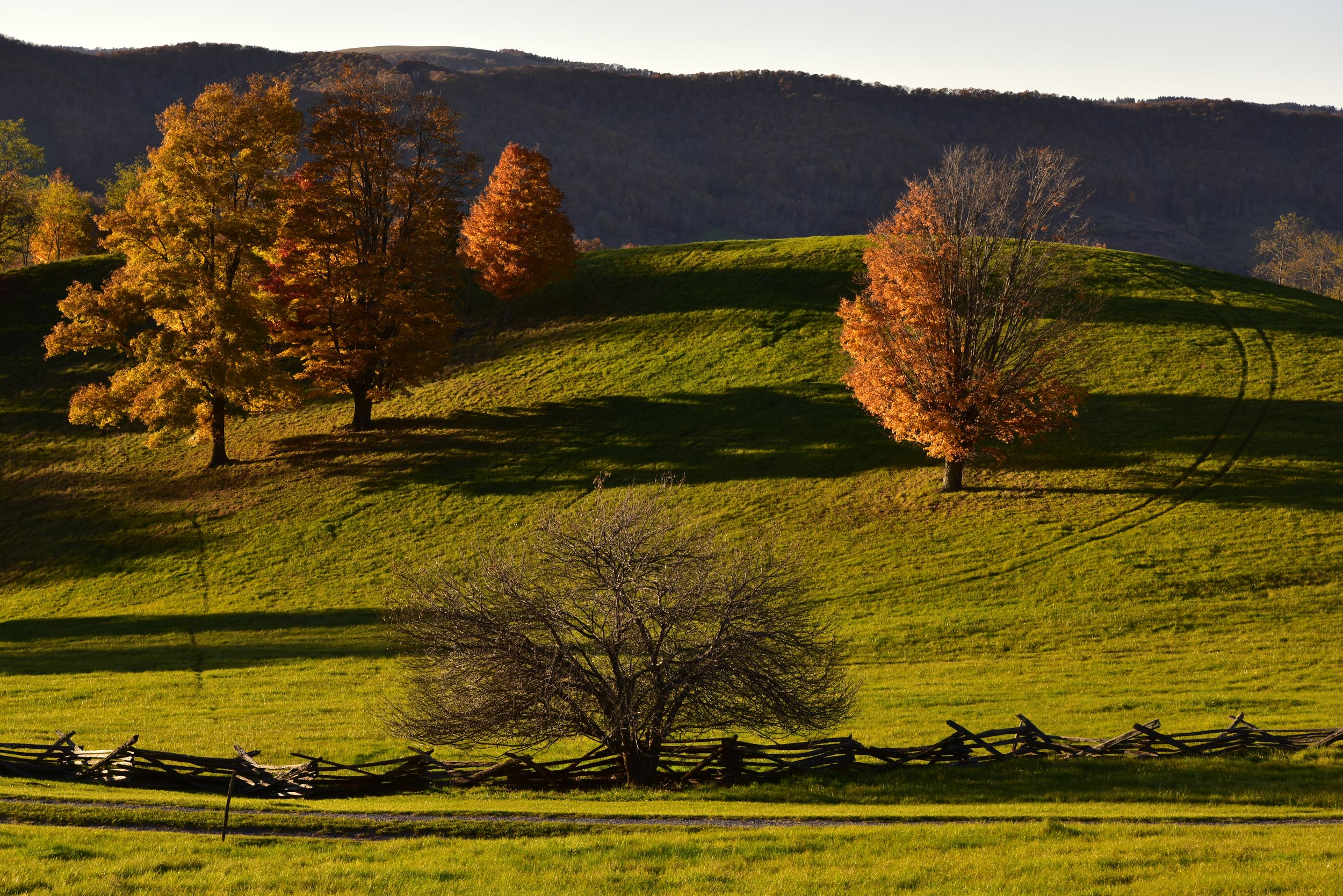 Autumn mountainside near Monterey Virginia
