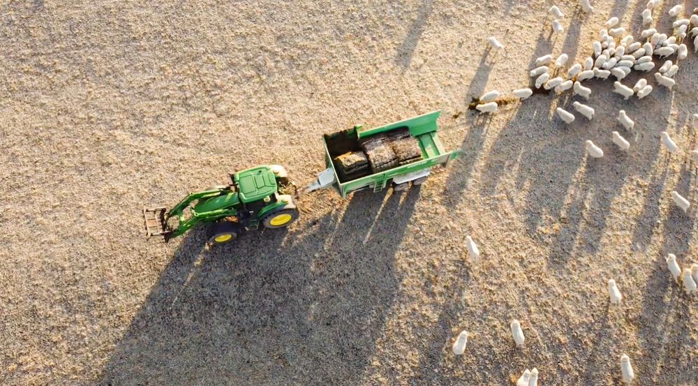 john-deere-tractor-hustle-feed-wagon-drone-image-farming-new-zealand-winter-feed-out-whisky-creek.jpg