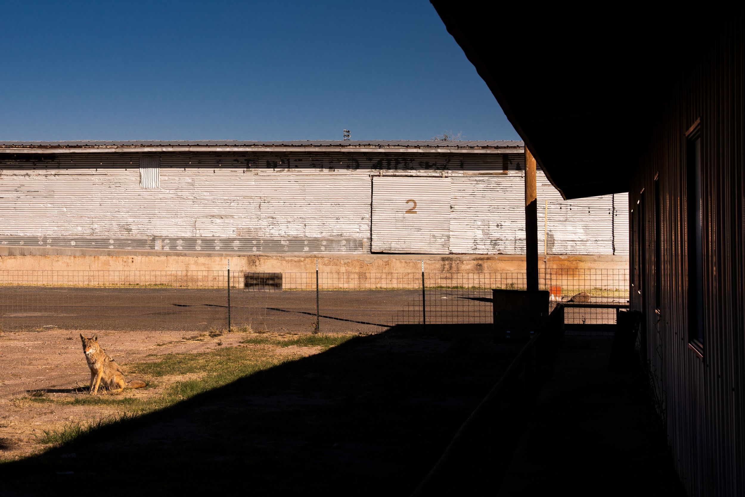 Sunlight casts shadows across an empty prison yard with concrete walls and a covered walkway.