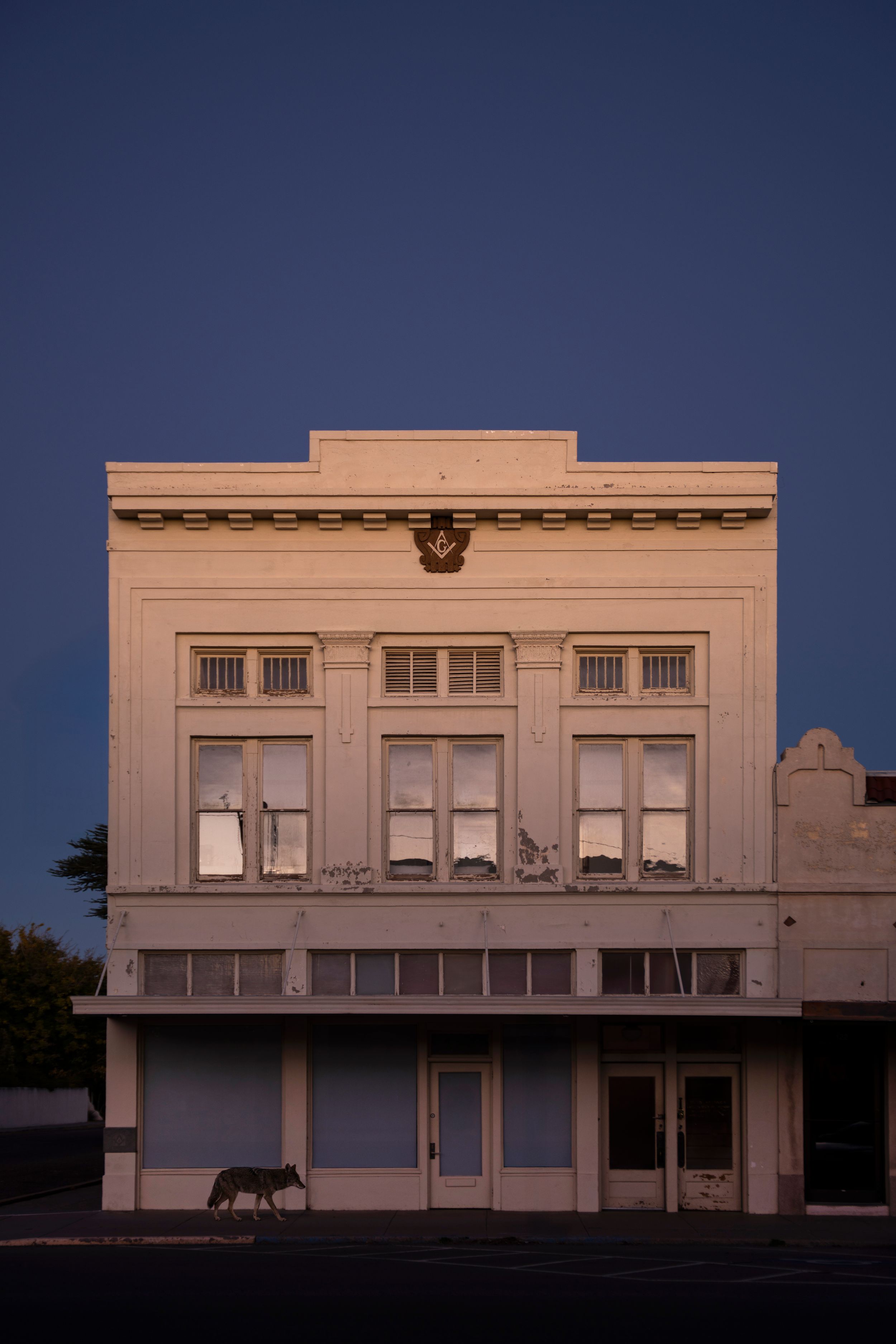 A series of white art deco style commercial buildings with large windows photographed at dusk against a deep blue sky.