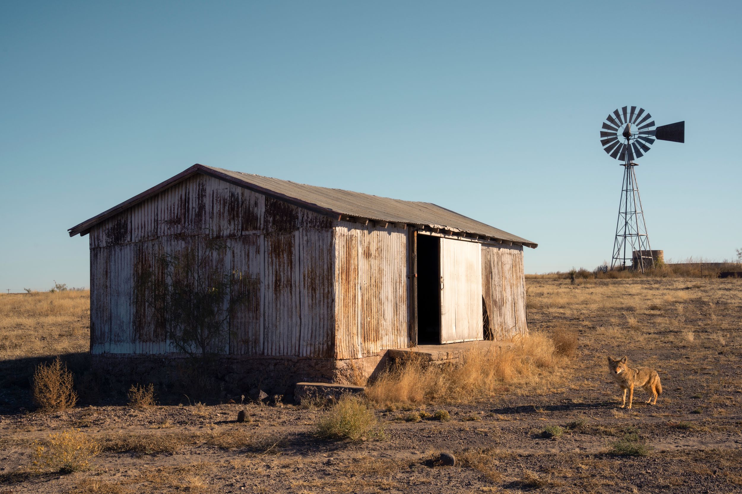 A panoramic sequence of weathered wooden barns and windmills on an arid ranch landscape at sunset.