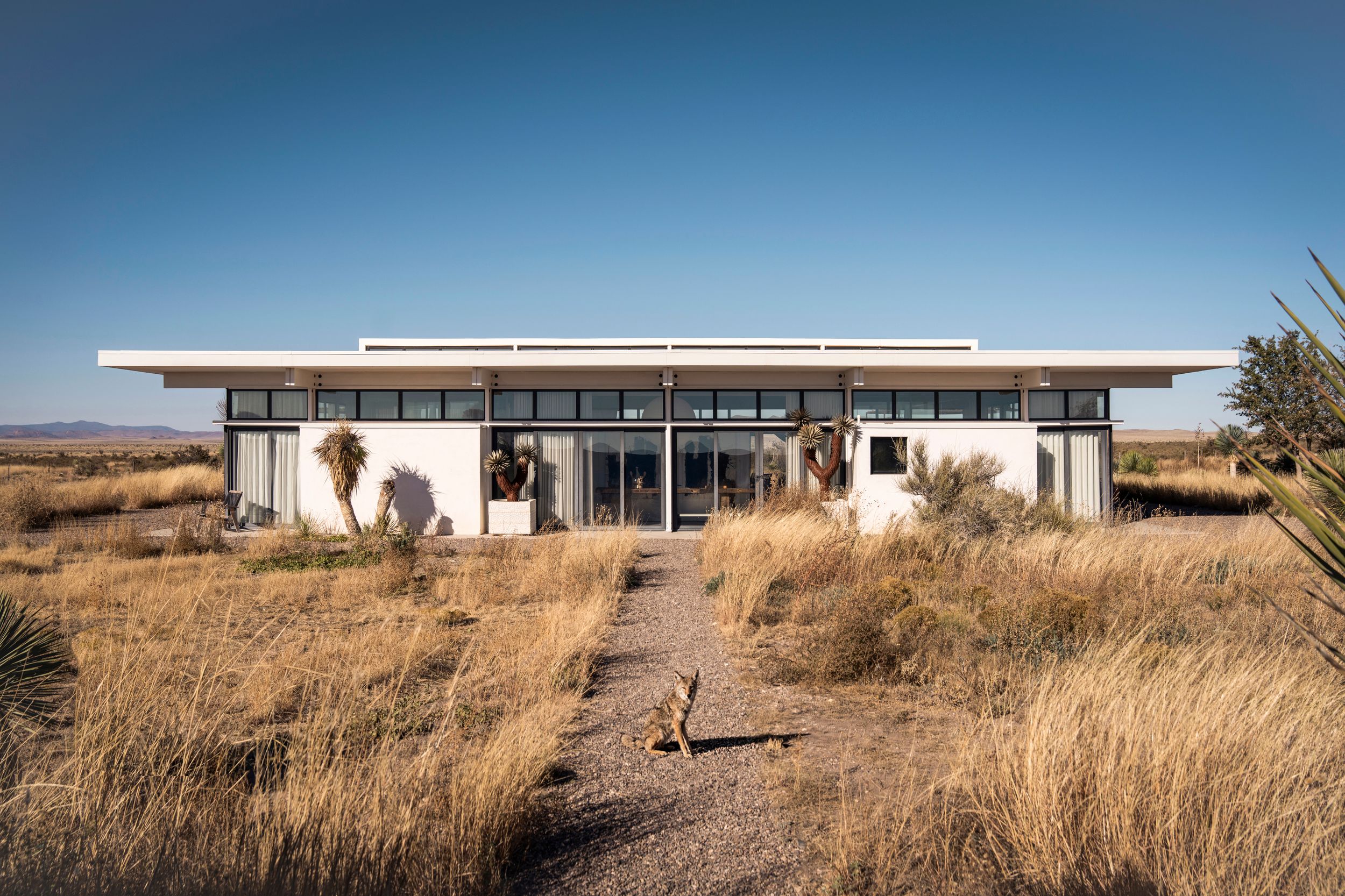 A series of modern modular buildings with flat roofs set against a desert landscape with dry grass.