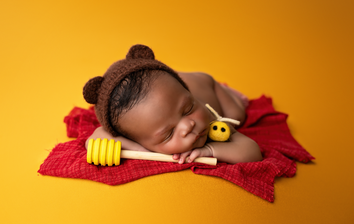 newborn photography berea ky newborn photographer kentucky newborn photographer lexington ky newborn photographer richmond ky