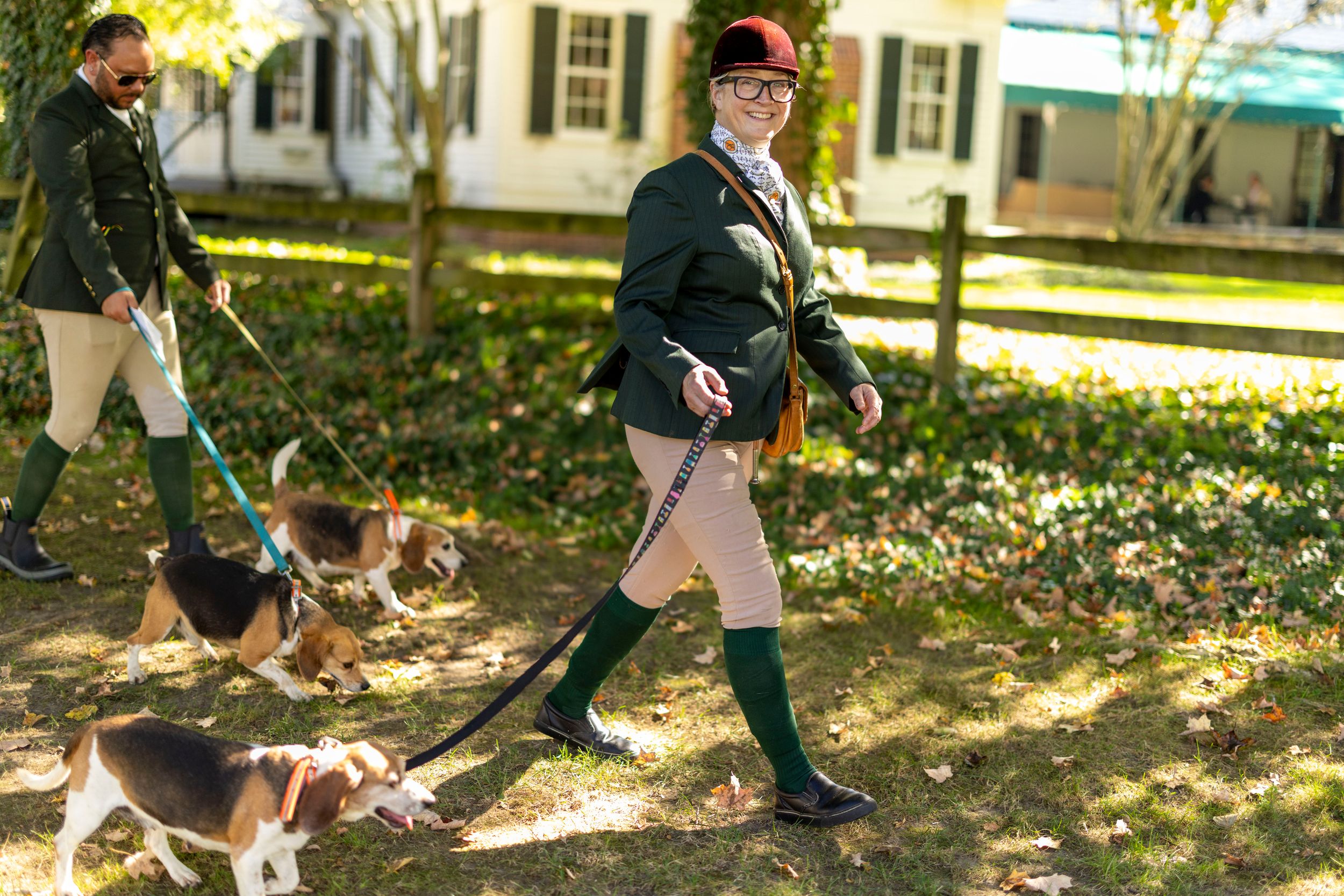 A sequence of action shots showing a dog playing fetch with a ball in a sunny outdoor setting.