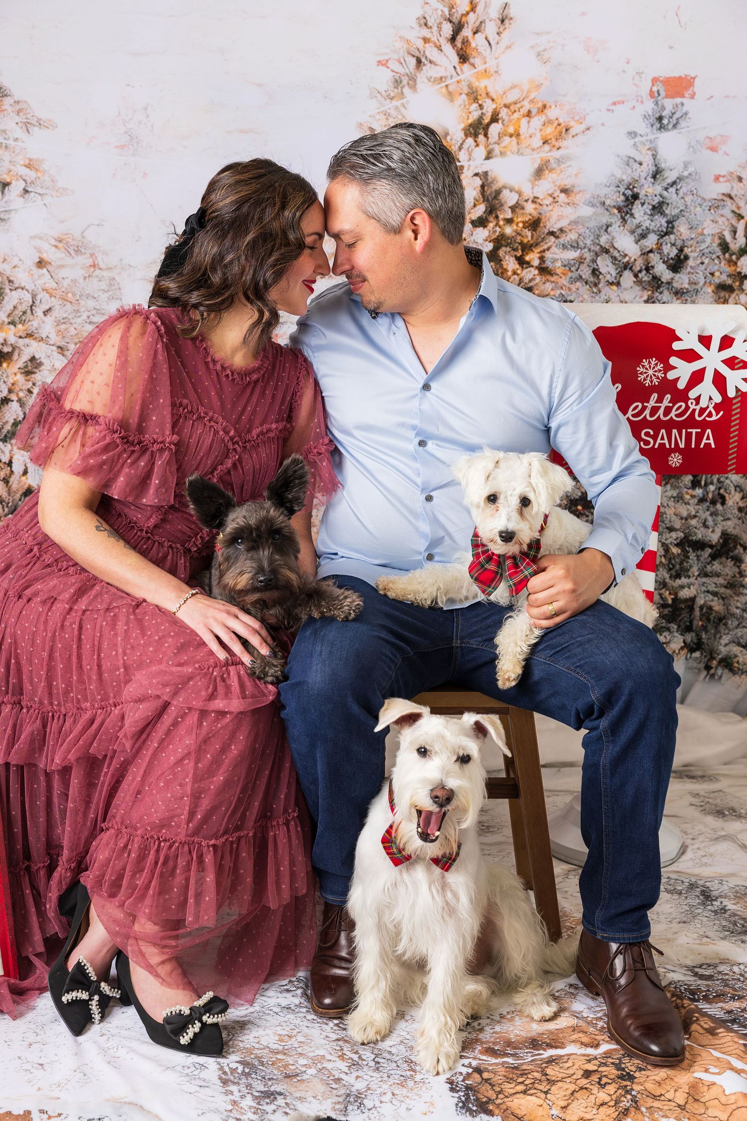 A couple poses with two small dogs in a festive winter wonderland setting with snowy trees and Christmas decorations.