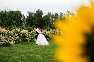 Wedding couple sitting in a meadow framed by blurred yellow flowers in foreground.