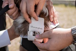 Hands exchanging small white cards or notes during a wedding ceremony.