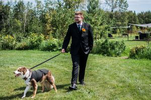 Dogs playing on grassy field during outdoor wedding event.