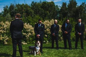Wedding party lines up in formal attire against a backdrop of green trees and blue sky.