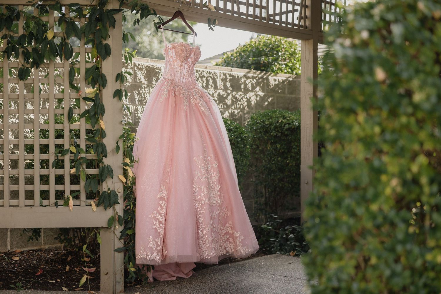 A pink tulle ball gown with lace details hangs from a garden trellis in natural outdoor lighting.