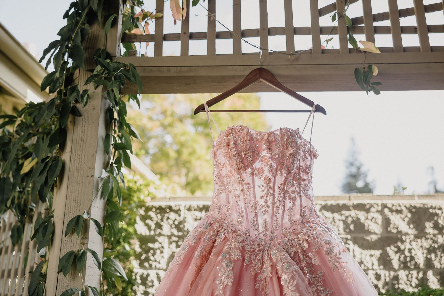 A pink sparkly strapless ballgown dress hangs from a wooden pergola decorated with greenery garland.