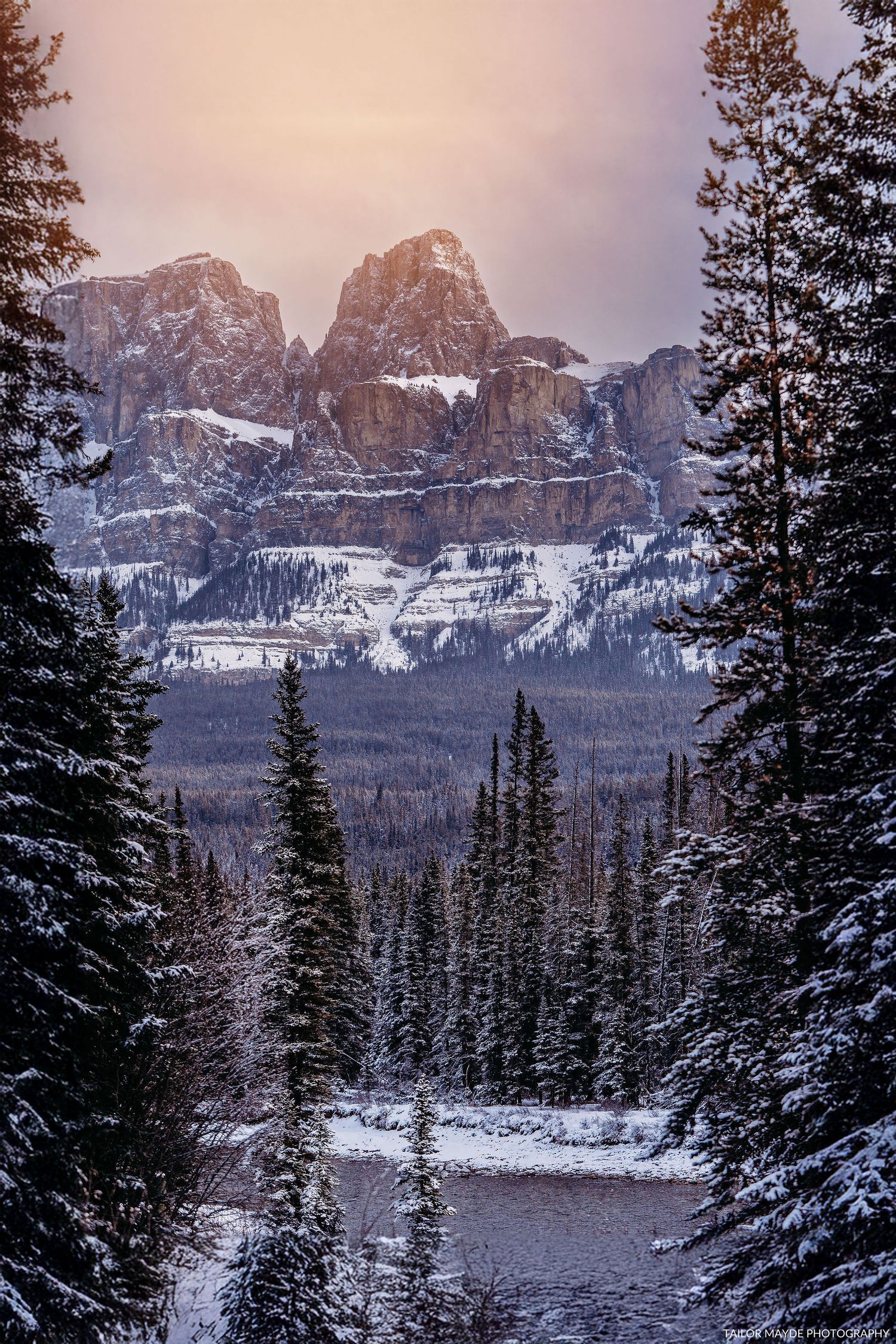 Snow-covered mountain peaks rise above evergreen forest in winter at sunset.