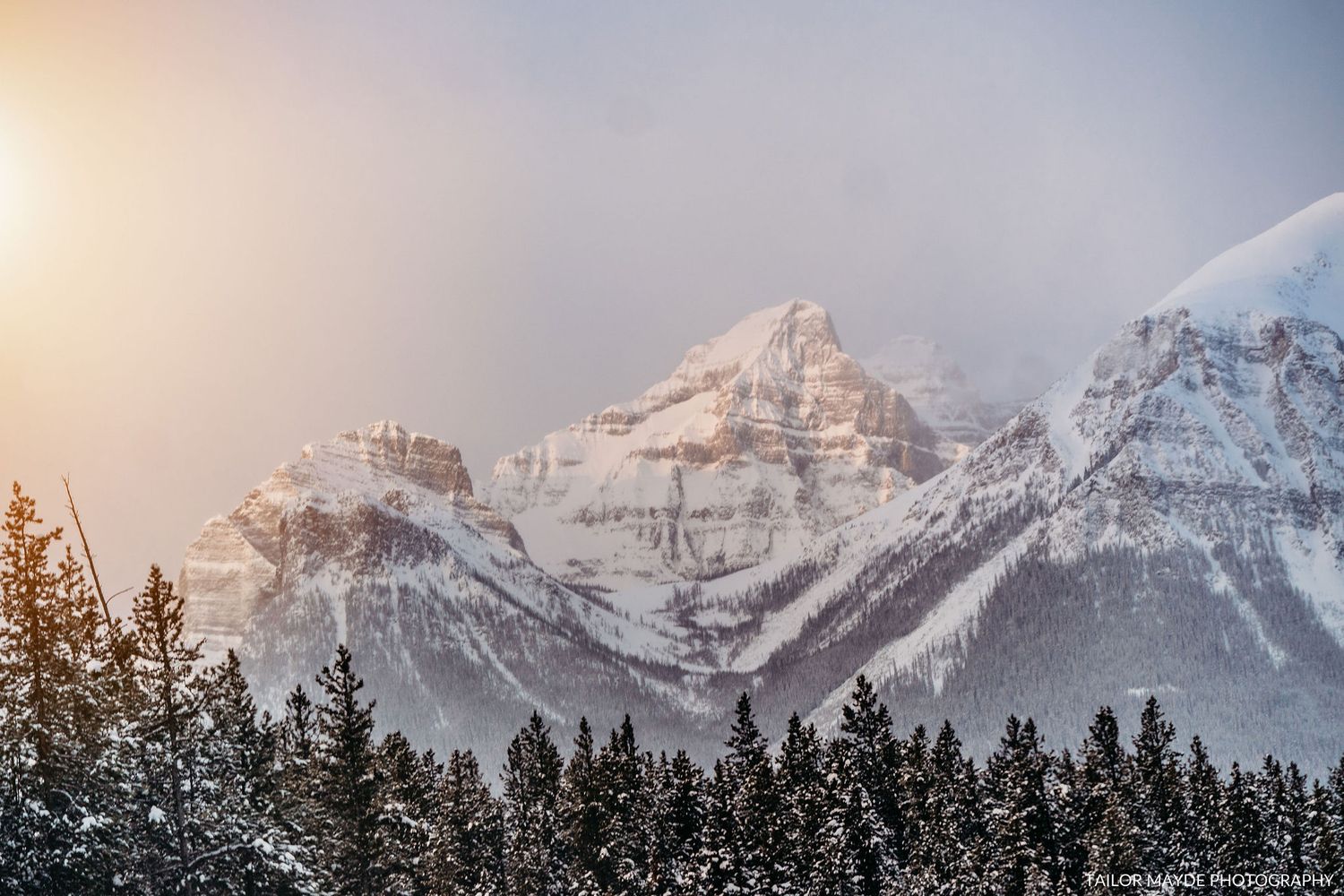 Snow-covered mountain peaks glowing in golden sunset light with evergreen forest in foreground.