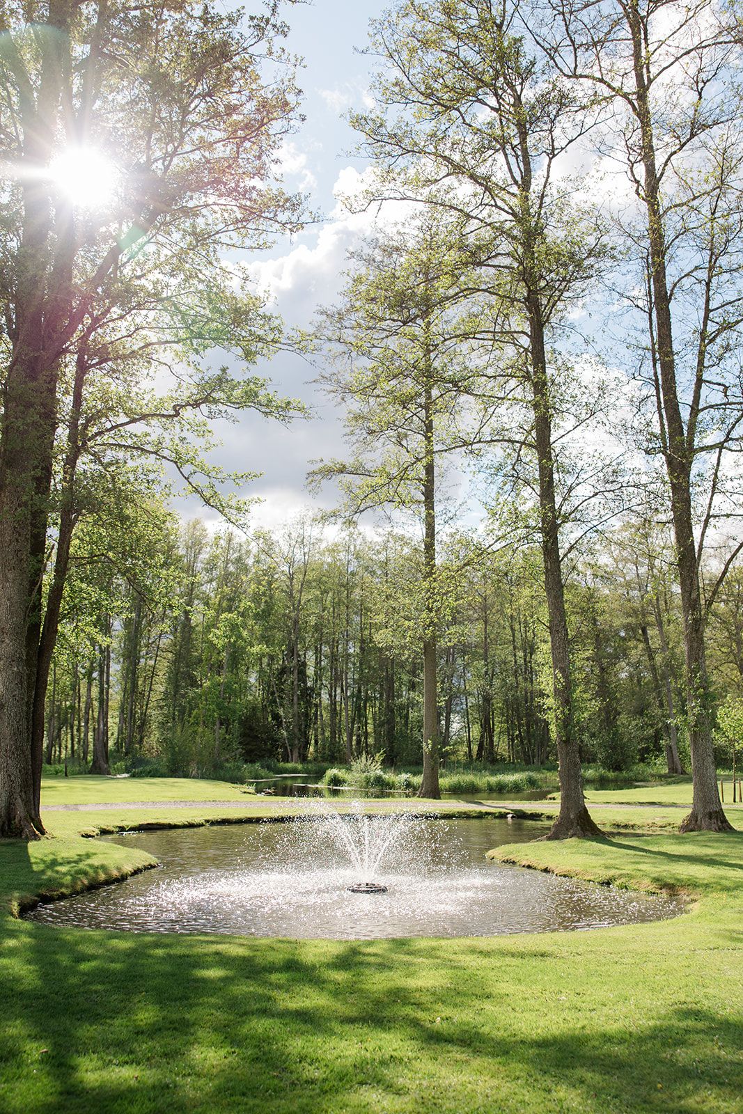 Panoramic view of a tranquil golf course fairway surrounded by tall trees with sunlight streaming through the branches.